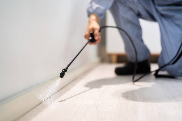 Licensed Termite Control service in Union County County, NC - Nex Pest Control