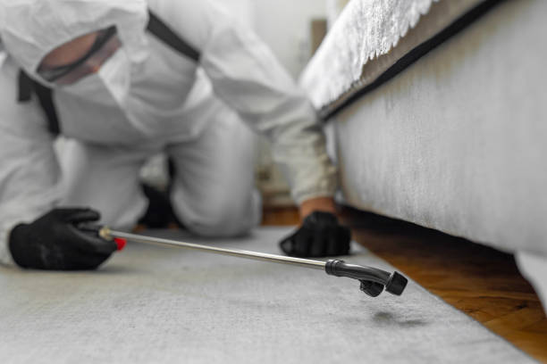 Professional Termite Control technician working in Union County County, NC